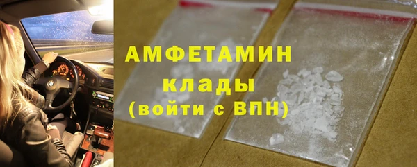 шишки Алексин