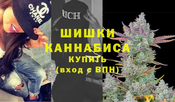 шишки Алексин