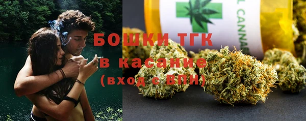 шишки Алексин