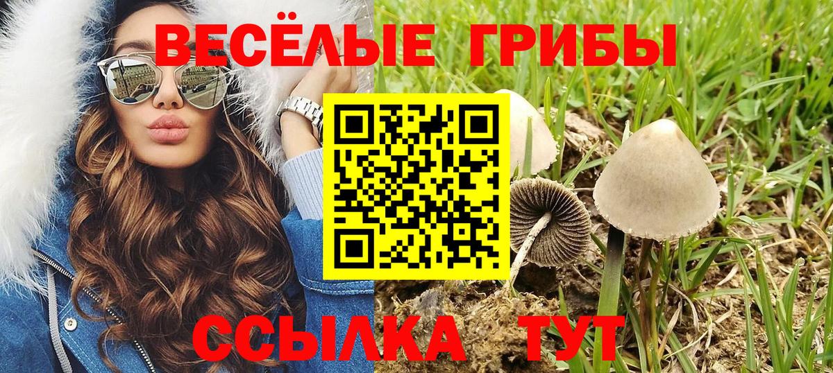 Санкт-Петербург  Галлюциногенные грибы MAGIC MUSHROOMS  Вход с VPN 